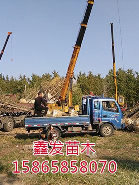 裝車現場